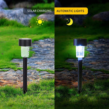 Solar-powered LED spotlight for outdoor landscaping and garden lighting.